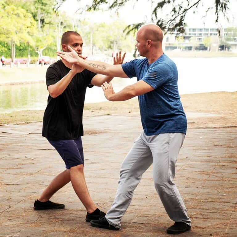 tai chi lyon sifu adam mizner tui shou 1