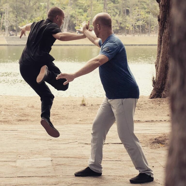 tai chi lyon sifu adam mizner tui shou 2 france