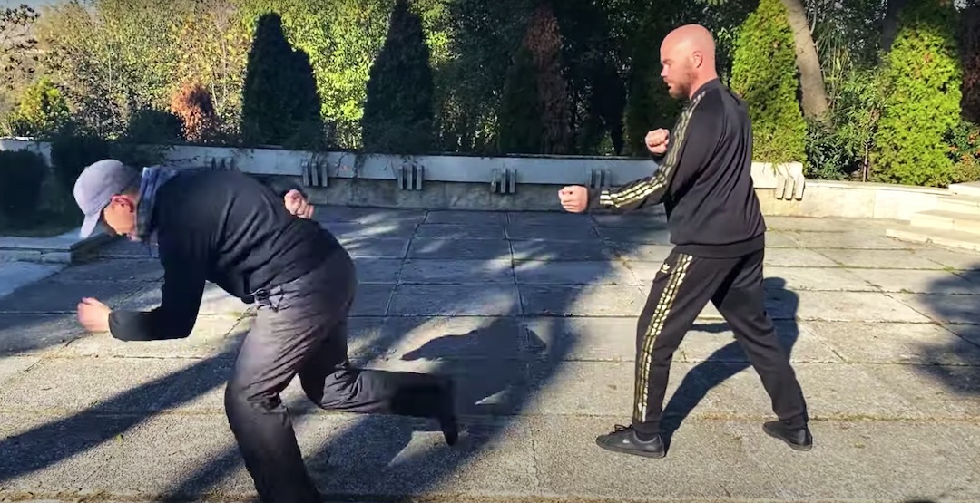 adam mizner free push one touch tai chi lyon